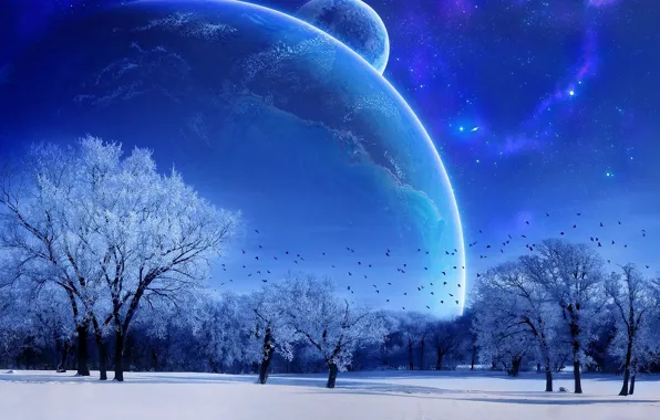 Картинка зима, небо, деревья, голубой, луна