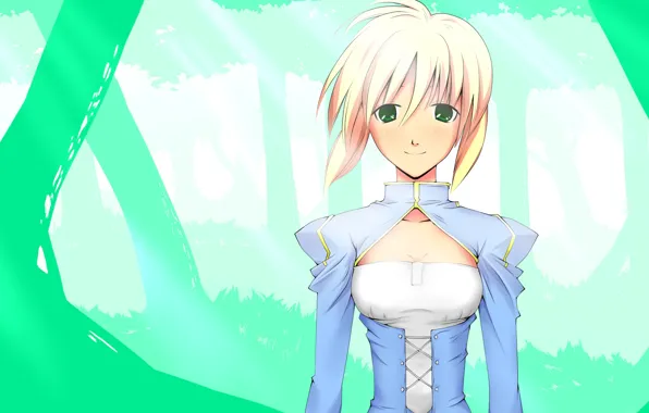 Девушка, сейбер, Fate / Stay Night, Судьба Ночь схватки
