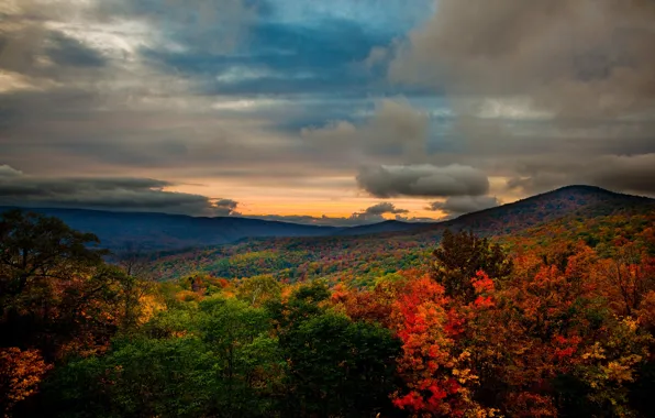 Картинка осень, лес, пейзаж, горы, природа, фото, США, Virginia