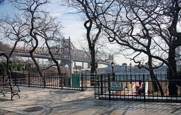 Деревья, мост, парк, река, Нью-Йорк