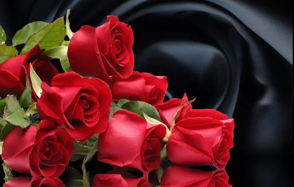 Flowers, roses, bouquet of roses