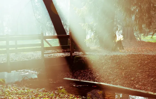 Картинка свет, мост, природа, туман, парк