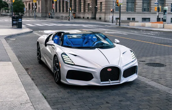Картинка Roadster, Bugatti, Toronto, Mistral, W16
