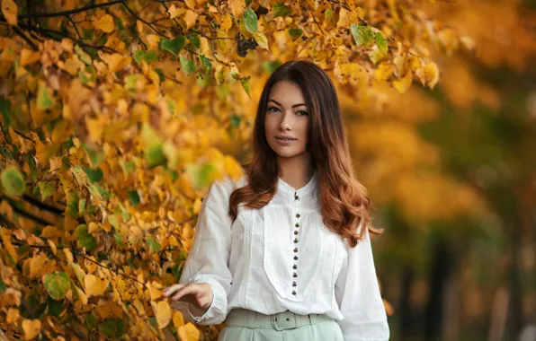 Картинка осень, взгляд, листья, девушка, лицо, улыбка, парк, милая