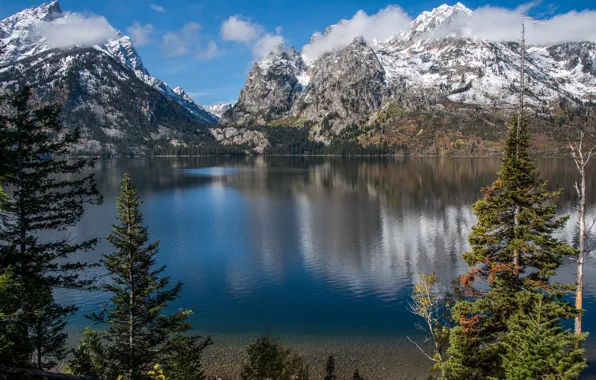 Картинка деревья, горы, озеро, Вайоминг, Wyoming, Grand Teton National Park, Скалистые горы, Rocky Mountains