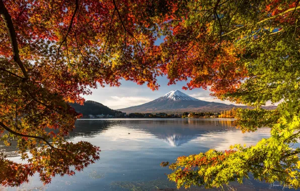 Озеро, Япония, Japan, Fuji, осенний день, Kawaguchi