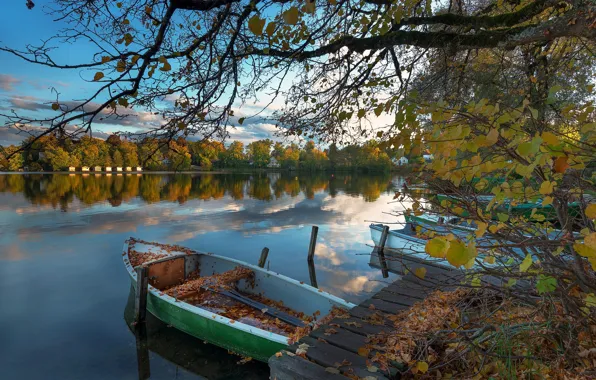 Осень, ветки, озеро, дерево, берег, листва, лодка, лодки