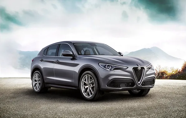 Горы, туман, Alfa Romeo, автомобиль, Stelvio, Worldwide