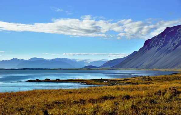 Картинка Исландия, Iceland, Auster-Skaftafellssysla, Hornafjördur