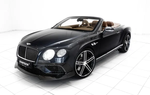 Bentley, Continental, белый фон, кабриолет, бентли, континенталь, Convertible