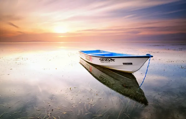 Картинка Bali, Indonesia, Sanur, Karang Beach, Floating Alone