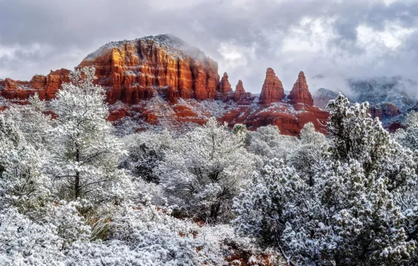 Картинка зима, небо, облака, снег, деревья, горы, скалы, Аризона