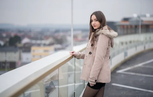 Взгляд, лицо, фон, милашка, Laura