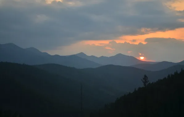 Forest, nature, sunset, mountains