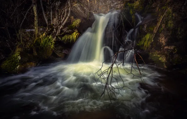 Лес, вода, деревья, ветки, природа, камни, растительность, водопад