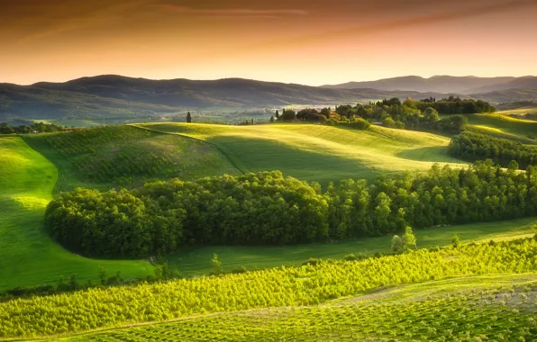 Картинка небо, деревья, пейзаж, природа, Италия, Landscape, sky, trees
