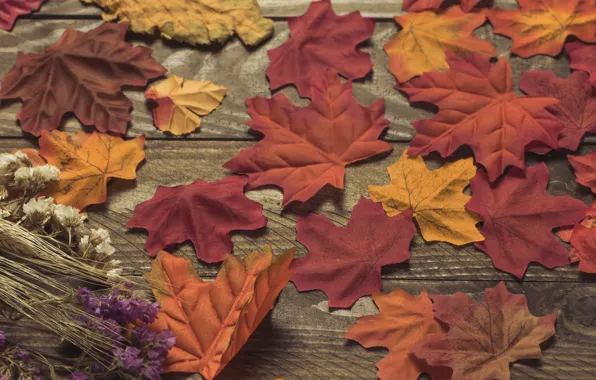 Картинка осень, листья, фон, дерево, colorful, доска, wood, background