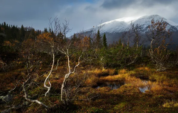 Картинка гора, Швеция, Sweden, Vasterbotten