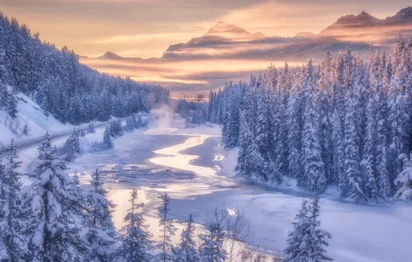 Картинка зима, лес, горы, река, Канада, Альберта, Banff National Park, Alberta