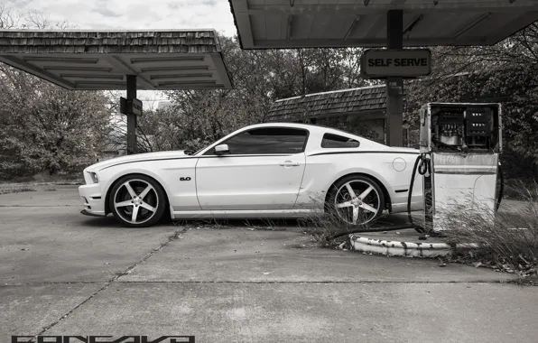 Машина, авто, Mustang, Ford, заправка, auto, Black, бок