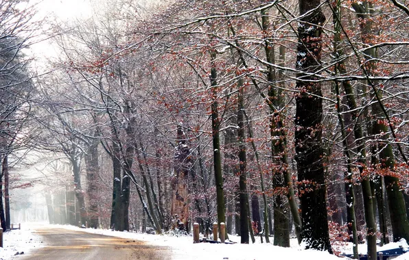 Картинка зима, дорога, снег