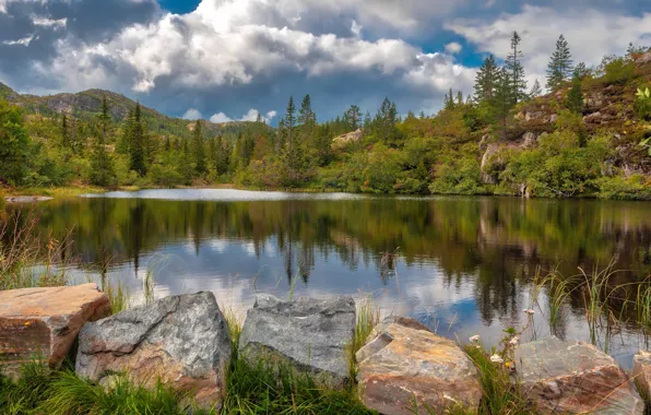 Картинка лес, горы, озеро, камни