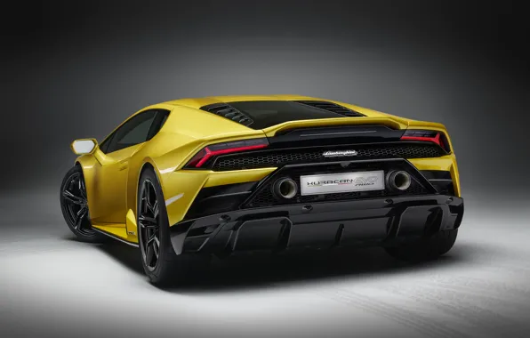Lamborghini, вид сзади, Huracan, 2020, RWD, Huracan Evo