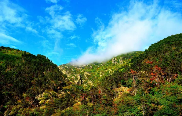 Картинка Природа, Горы, Деревья, Nature, Sky, Mountains, Colors, Trees