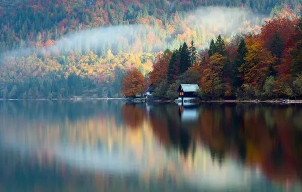 Картинка осень, лес, отражения, озеро, домик, Словения, Октябрь