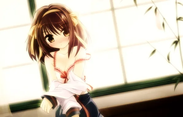 Girls, anime, brunettes, the_melancholy_of_haruhi_suzumiya