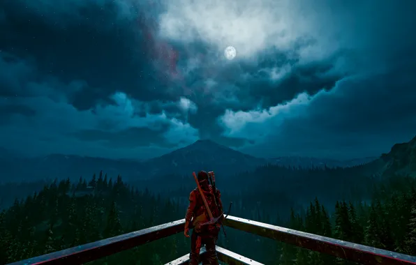 Ночь, оружие, луна, парень, Days Gone
