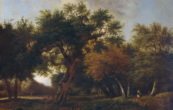 Пейзаж, масло, картина, Лес, холст, 1680, Jan van Kessel, Ян ван Кессель