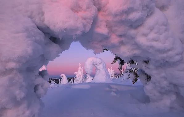 Зима, снег, деревья, пейзаж, природа, рассвет, Финляндия, Максим Евдокимов