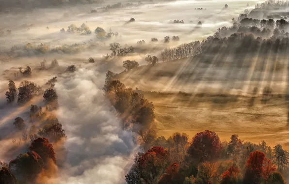 Картинка осень, лучи, свет, туман, река, пар