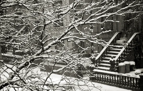 Картинка зима, снег, ветки, забор, дома, лестница