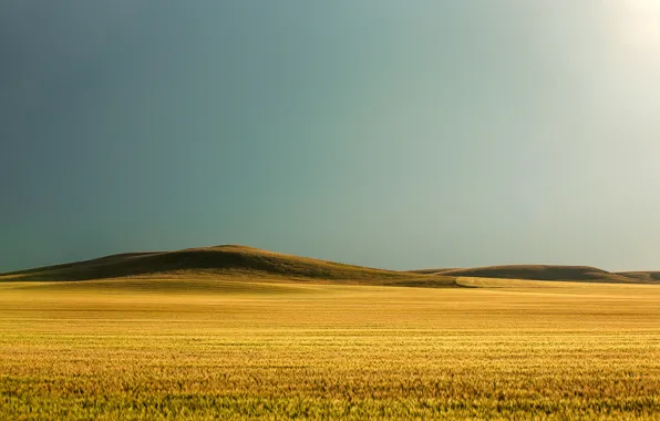 Картинка поле, трава, солнце, холмы, grass, sunshine, field, hills