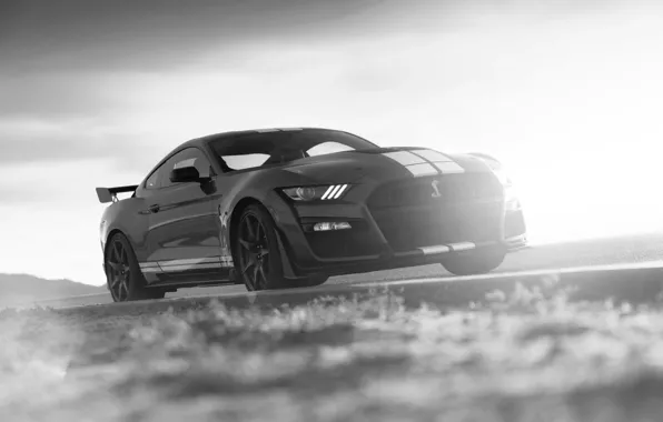 Картинка Mustang, Ford, Shelby, GT500, обочина, 2019
