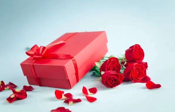 Картинка любовь, цветы, подарок, розы, букет, лепестки, красные, red