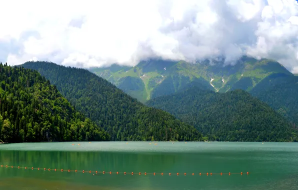 Картинка лето, пейзаж, горы, озеро, отдых, Абхазия, Рица