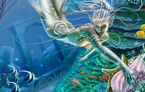Картинка рыбы, морское дно, сирена, Toni Rodriguez