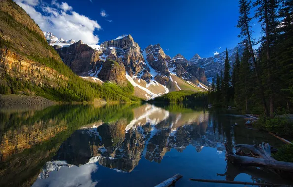 Деревья, горы, озеро, отражение, Канада, Альберта, Banff National Park, Alberta