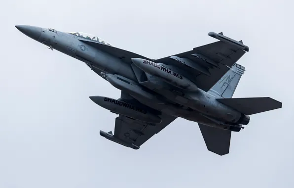 Картинка небо, самолёт, F/A-18F Super Hornet, боевой самолёт, VAQ-141