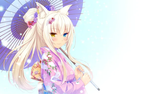 Девушка, неко, anime, art, Neko Para, Coconut