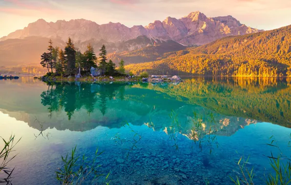 Лес, деревья, горы, природа, озеро, Germany, Alps, Lake Eibsee