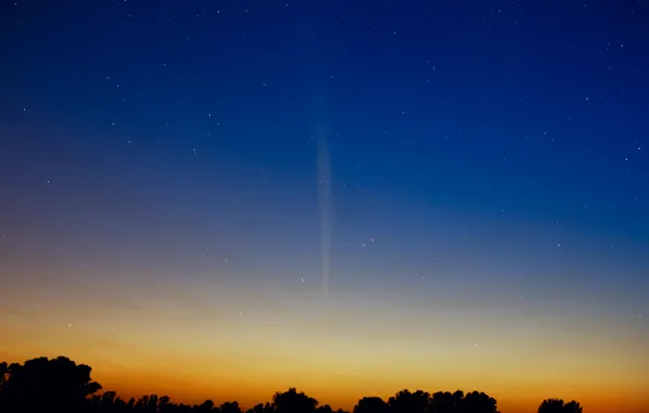 Картинка звезды, рассвет, комета, Южное полушарие, Lovejoy