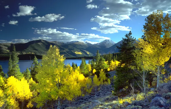 Картинка осень, деревья, пейзаж, горы, природа, озеро, Колорадо, США