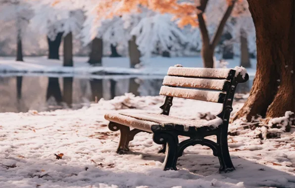 Зима, осень, листья, снег, скамейка, парк, trees, park