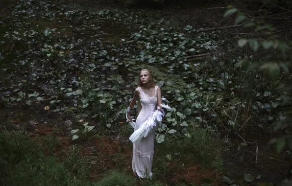 Девушка, крылья, Swan Lake, Aleah Michele