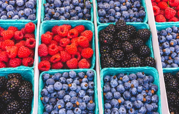 Red, california, black, blue, pattern, blueberry, blackberry, berries