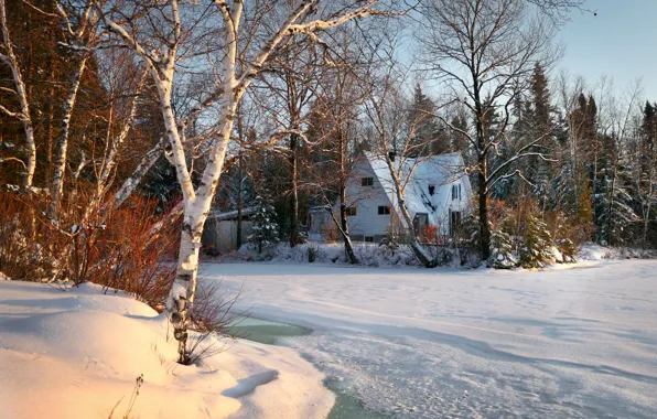 Картинка зима, лес, снег, деревья, пейзаж, природа, озеро, дом